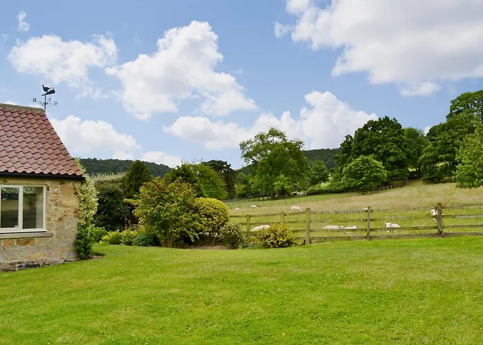 Bilsdale * Nether Silton