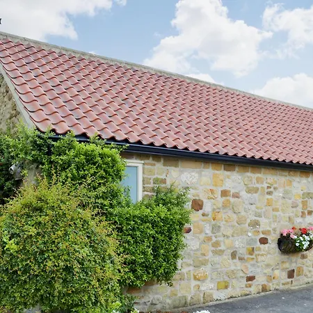Bilsdale - 25566